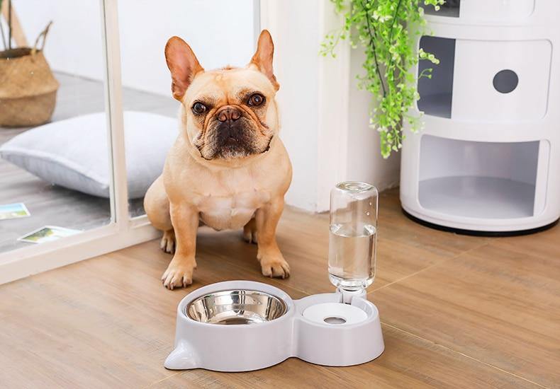 Pet Bowl and Water Dispenser - Puppeeland