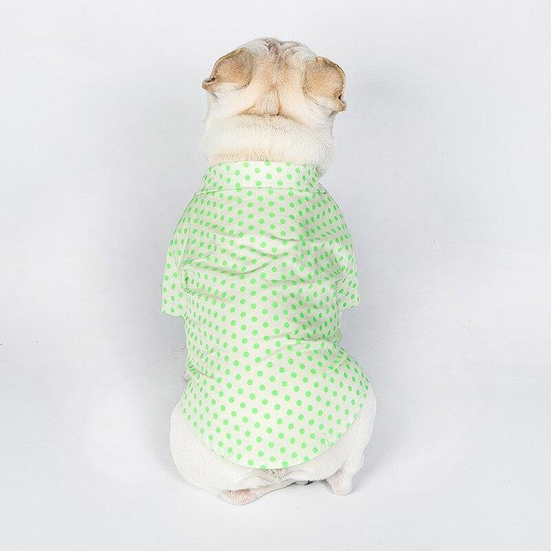 Polka Dot Summer Pet Shirt - Puppeeland