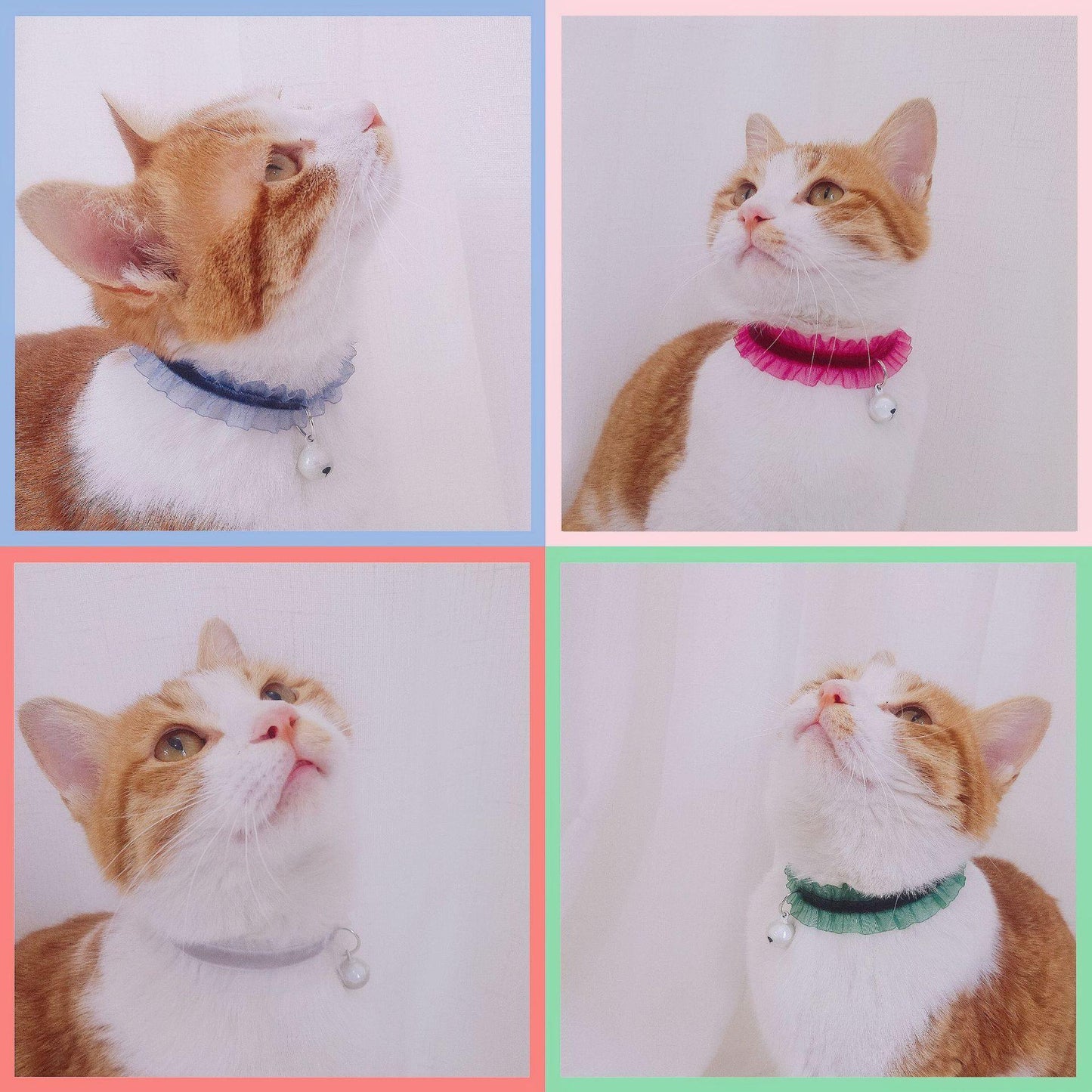 Velvet Lace Cat Collar - PUPPEELAND - Review