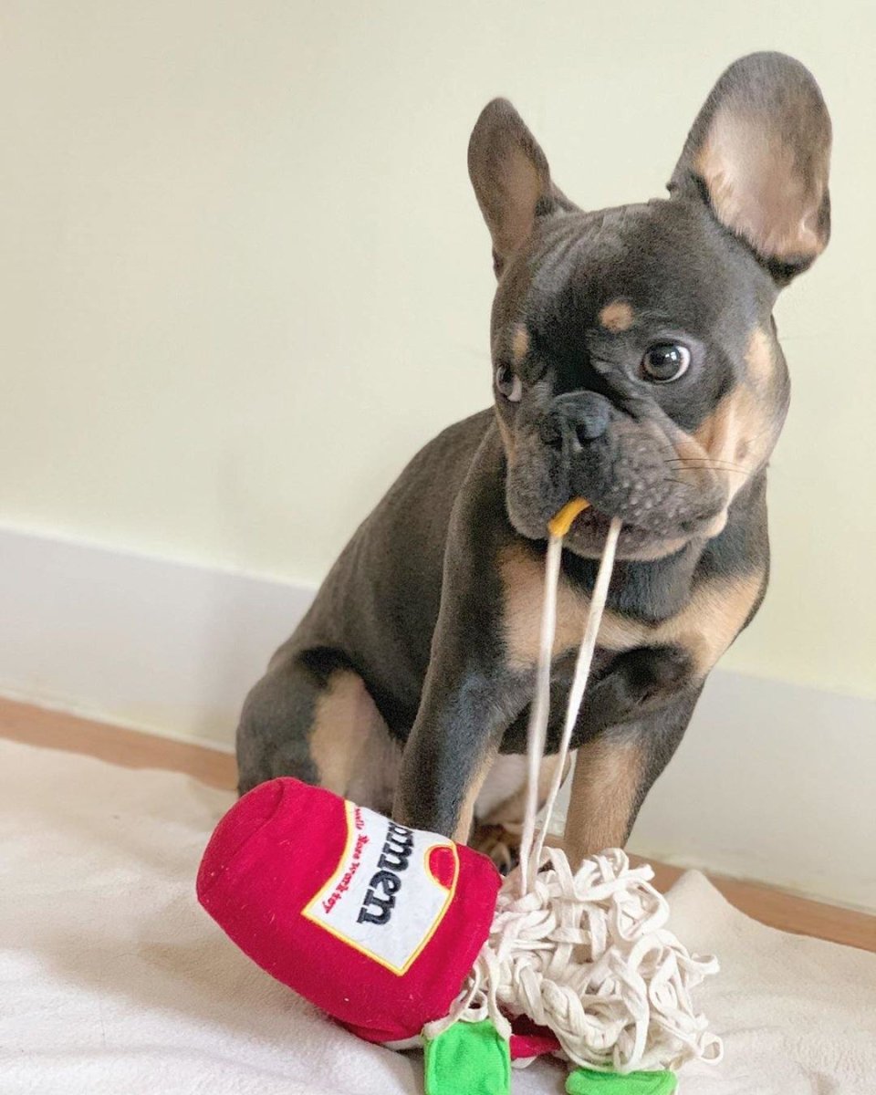 Ramen Dog Sniff Plush Toy - Puppeeland