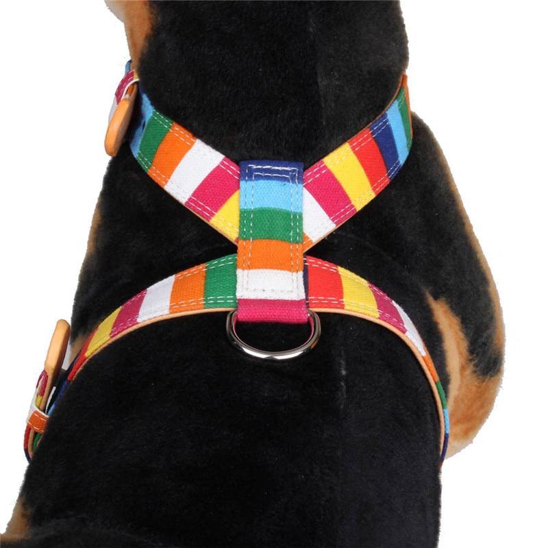 Stripe Dog Harness with Leash - Puppeeland
