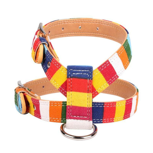 Stripe Dog Harness with Leash - Puppeeland