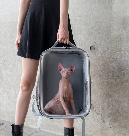 Transparent Pet Carrier Backpack - Puppeeland